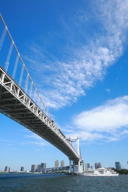 Düşük açılı Tokyo gökkuşağı köprüsü ve şehrin ufuk çizgisi                   