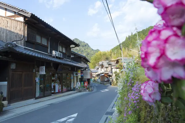 Mooie Bloemen Japanse Tuin — Stockfoto
