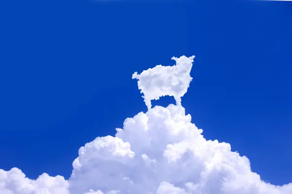 Nube Blanca Esponjosa Forma Oveja Sobre Fondo Cielo Azul —  Fotos de Stock