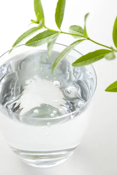 Ein Glas Wasser Mit Grünen Blättern Auf Dem Hintergrund Nahaufnahme — Stockfoto