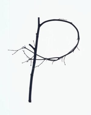 p harfi beyaz arkaplanda izole edilmiş yapraksız dallardan oluşur 