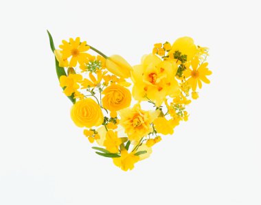 Beyaz arkaplanda sarı çiçekler