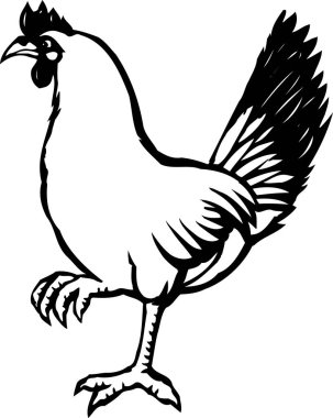 Beyaz arkaplanda izole edilmiş horoz silueti