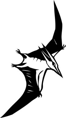 Beyaz arkaplanda uçan kuş çizimi