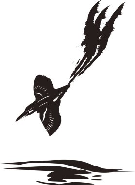 Beyaz arkaplanda izole edilmiş kuşun gösterimi