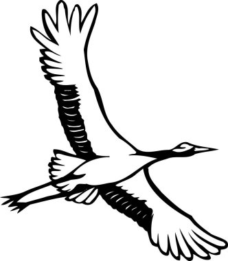 Beyaz arkaplanda uçan kuş çizimi