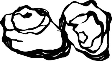 Beyaz arkaplanda izole edilmiş deniz kabuğu çizimi 