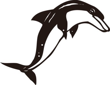 Beyaz arkaplanda yunus ağı illüstrasyonu