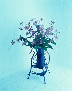 Güzel çiçekler, yakın görüş, çiçek konsepti