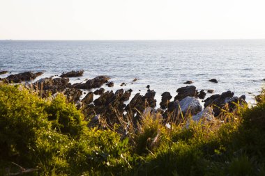 Kayalar ve dalgalarla dolu güzel bir sahil..               