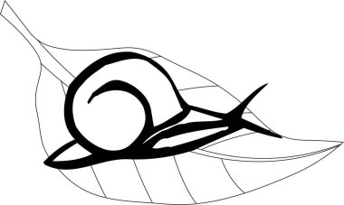 Salyangoz logo şablonu, siyah ve beyaz resimleme