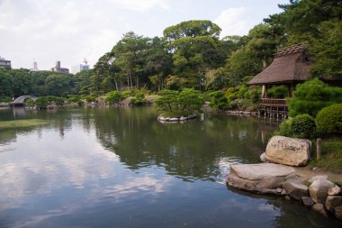 Yeşil ağaçlı ve göletli güzel Japon bahçesi manzarası     