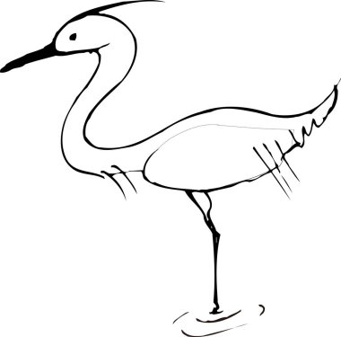 Beyaz arkaplanda izole edilmiş kuşun gösterimi