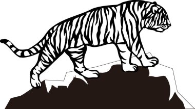 Kaplan hayvanının ağ çizimi