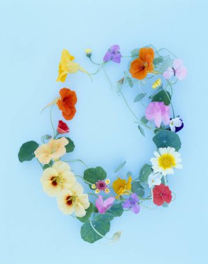 Kağıttan yapılmış çiçekler ve kelebek, bir çerçeve