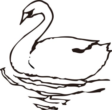 Beyaz arkaplanda izole edilmiş kuğunun gösterimi