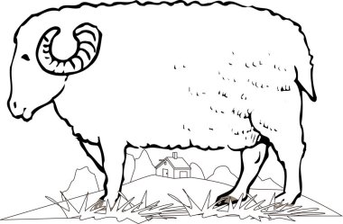 Çizgi film koçu çizimi