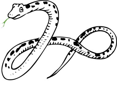 Yılan logosu şablonu, siyah ve beyaz resimleme