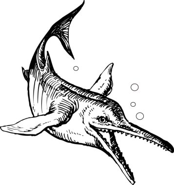 Siyah beyaz deniz köpekbalığının el çizimi.