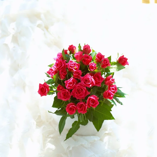 beautiful red roses in vase on white background.