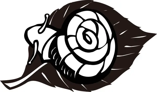 Modèle Logo Escargot Illustration Noir Blanc — Photo