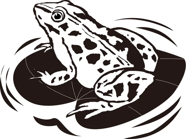 Frog Logo Template Black White Illustration — Stock Photo, Image