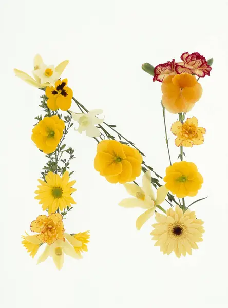 Brev Gjord Färgglada Våren Blommor Isolerad Vit Bakgrund — Stockfoto