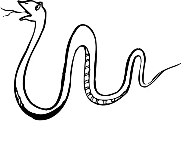 Шаблон Логотипа Змеи Черно Белая Иллюстрация — стоковое фото
