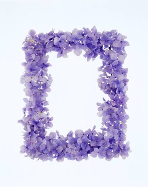 Beyaz arkaplanda lavantadan yapılmış lavanta çiçeği