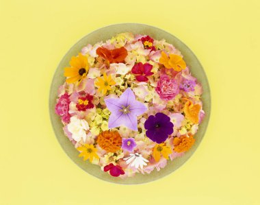 Güzel çiçekler, yakın görüş, doğa konsepti.