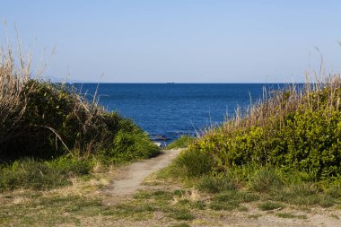 Sahil ve deniz manzarası