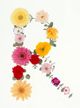 Beyaz arkaplanda izole edilmiş renkli bahar çiçeklerinden oluşan r harfi 