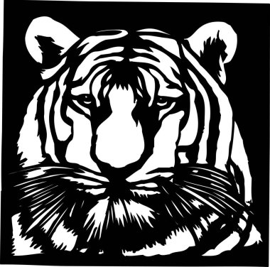 Siyah arka planda kaplan başı. Web illüstrasyonu.