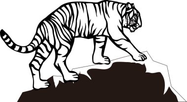 Kaplan hayvanının ağ çizimi