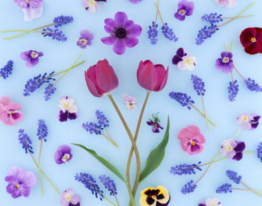 Güzel çiçekler, yakın görüş, doğa konsepti.