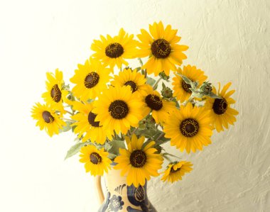 Güzel çiçekler, yakın görüş, doğa konsepti.