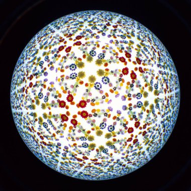 Renkli bahar çiçekleriyle soyut arkaplan 