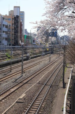 Ticari binalar, Japon demiryolu üst geçidinin büyük, beton tabanına yakındır..