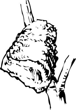 Ağaçtaki kuş yuvası, beyaz arkaplanda izole edilmiş basit siyah beyaz çizimler.