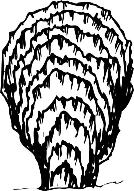 Beyaz arkaplanda izole edilmiş deniz kabuğu çizimi 