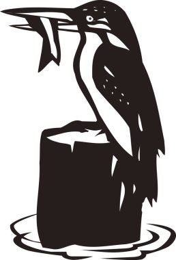 Beyaz arkaplanda izole edilmiş kuşun gösterimi