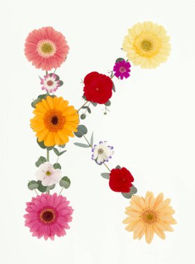 Beyaz arkaplanda izole edilmiş renkli bahar çiçeklerinden yapılmış k harfi 