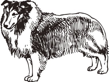 köpek simgesi, beyaz arkaplanda izole edilmiş basit siyah beyaz illüstrasyon