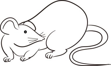 Beyaz arkaplanda izole edilmiş siyah-beyaz fare çizimi