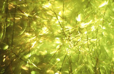 Soyut renkli bulanık arkaplan, hareket kavramı                