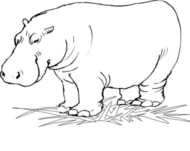 Beyaz arkaplanda çizgi film hipopotamlarının çizimi