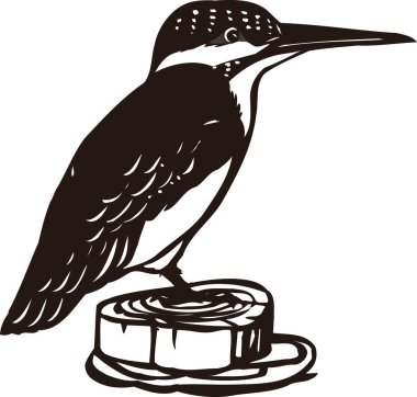 Beyaz arkaplanda izole edilmiş kuşun gösterimi