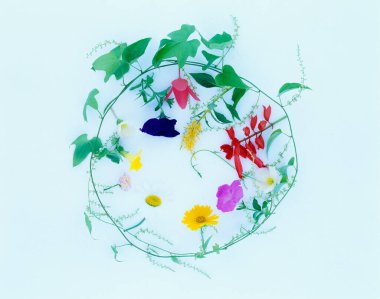 Güzel çiçekler, yakın görüş, doğa konsepti.