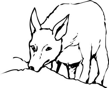 Kurt yiyen avlar, beyaz arka planda izole edilmiş basit siyah beyaz çizimler.