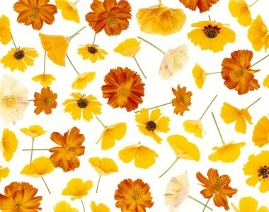 Güzel çiçekler, yakın görüş, doğa konsepti.